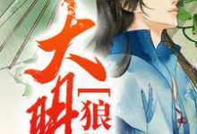 小说《大明狼烟》在线章节阅读-经典文学