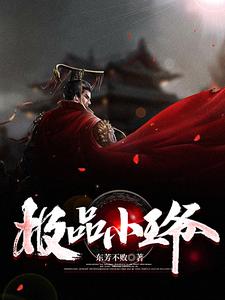 主角李泰宛平公主小说完结版在线阅读，极品小王爷免费看