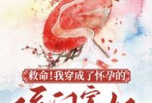 救命！我穿成了怀孕的侯门寡妇小说完结了吗？在哪里可以免费读到？-经典文学