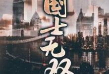 国士无双小说全文哪里可以免费看?-经典文学