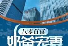 《八零首富：奶爸宠妻带娃记》全集免费在线阅读（周晓治艾雨蓝）-经典文学