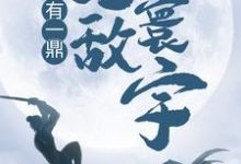 完结版《我有一鼎，无敌寰宇》章节阅读-经典文学