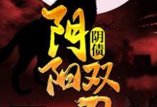阴债:阴阳双刀小说有没有完整的免费版本在线阅读?-经典文学
