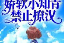 七零建设忙，娇软小知青禁止撩汉小说全文哪里可以免费看？-经典文学