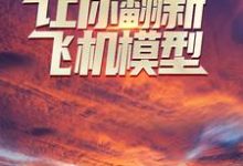 免费在线阅读让你翻新飞机模型，你却打造幽灵战机？小说的正规网站有哪些？-经典文学