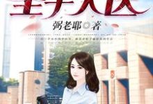 都市圣手天医小说无弹窗阅读的网站推荐-经典文学