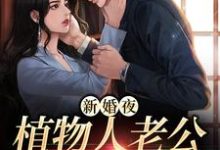 已完结小说《新婚夜，植物人老公突然亲我》在线章节阅读-经典文学