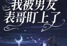 已完结小说《因为彩礼,我被男友表哥盯上了》在线章节阅读-经典文学