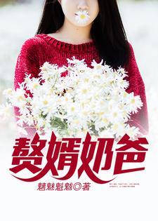 赘婿奶爸章节免费在线阅读，潘伟林若然小茜宝完结版