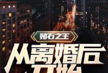 赌石之王从离婚后开始这本小说怎么样？免费在线阅读试试-经典文学