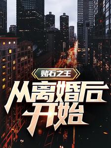 赌石之王从离婚后开始这本小说怎么样？免费在线阅读试试