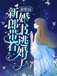 《新婚夜，新郎带着婚书逃婚了？》小说章节列表免费试读，宋丛温苏烟小说在线阅读