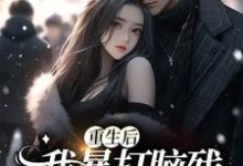 男女主人公符婉沈铃铃小说重生后，我暴打脑残前夫一家章节免费阅读-经典文学
