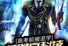 高考前被退学,获得高科技武器图纸 林海李慕儿,高考前被退学,获得高科技武器图纸章节在线阅读-经典文学