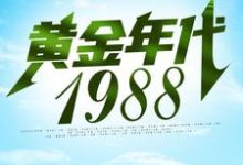 《黄金年代1988》全集免费在线阅读（钟援朝钟局）-经典文学
