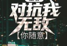 王者:对抗我无敌,你随意小说完结版章节免费阅读-经典文学