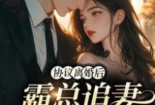 男女主人公姜见星周丞小说协议离婚后，霸总追妻火葬场章节免费阅读-经典文学