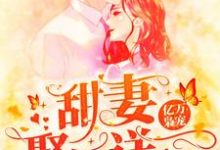 小说《亿万枭宠:甜妻娶一送一》章节阅读-经典文学