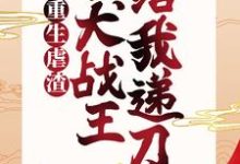 免费看我重生虐渣，忠犬战王给我递刀小说的网站有哪些？-经典文学