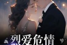 免费在线阅读烈爱危情:错付一世情深小说的正规网站有哪些?-经典文学