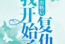 《老公出轨后，我开始了复仇》全集免费在线阅读（ 卢思影埃里克）-经典文学