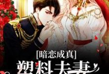暗恋成真：塑料夫妻假戏真做小说，暗恋成真：塑料夫妻假戏真做章节在线阅读-经典文学