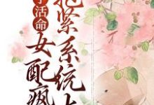 主角沈沁周铮小说完结版在线阅读，为了活命，女配疯狂抱紧系统大腿免费看-经典文学