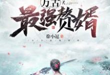 免费在线阅读万古最强赘婿小说的正规网站有哪些？-经典文学