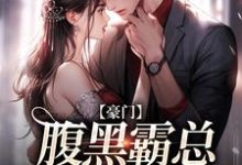 不装了，顾总与她日夜有染小说全文哪里可以免费看？-经典文学