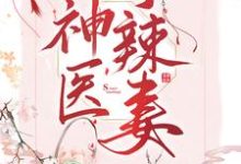 求神医小辣妻小说的全文免费阅读链接-经典文学