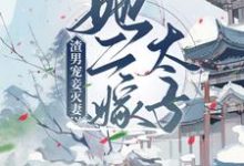 免费阅读楚宁萧默为主角的小说,渣男宠妾灭妻?她二嫁太子在线看-经典文学