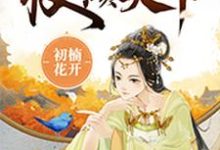 小说《丑妃权倾天下》章节阅读-经典文学
