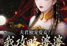 夫君独宠爱妾？我攻略婆婆来撑腰小说有没有完结版在线？-经典文学