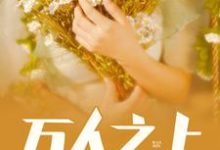 求万人之上小说免费资源-经典文学