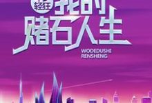 哪里可以免费读到叶辰简晴的完整故事？寻找年少轻狂：我的赌石人生-经典文学