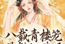 苏檀沈修妄为主角的小说八载青楼笼,花魁她逃了在线阅读-经典文学