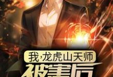 我,龙虎山天师,被害后傻了三年?小说,我,龙虎山天师,被害后傻了三年? 叶玄林清影-经典文学