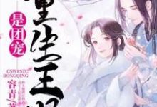 乔荞陆风临林清雅秋月的故事在哪本书里？免费阅读重生王妃是团宠-经典文学