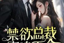 求禁欲总裁穷追不舍，她掉进温柔乡了小说免费资源-经典文学