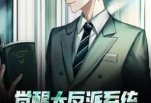 已完结小说《觉醒大反派系统，我成新的气运之子》章节在线阅读-经典文学
