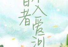 智者不入爱河小说免费资源，智者不入爱河在线阅读-经典文学