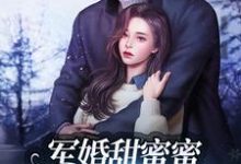 已完结小说《军婚甜蜜蜜：兵王老公使劲宠》章节在线阅读-经典文学