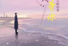 完结版《等风也等你》章节阅读-经典文学