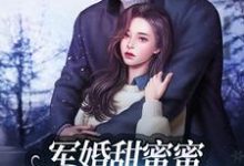 军婚甜蜜蜜：兵王老公使劲宠小说全文哪里可以免费看？-经典文学