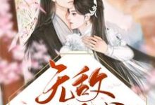 免费看无敌小王爷小说的网站有哪些？-经典文学