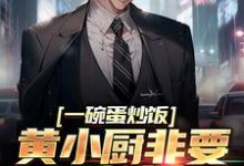 一碗蛋炒饭，黄小厨非要拜我为师小说的免费阅读版本在哪里可以找到？-经典文学