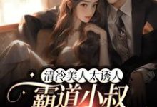 小说《清冷美人太诱人，霸道小叔蓄谋已久》章节免费阅读-经典文学