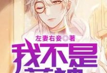 主人公叶准江聆韵刘影黄凌波小说我不是药神在线章节阅读-经典文学