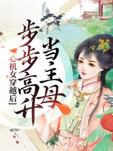 苏晚沈阶为主角的小说心机女穿越后，步步高升当主母在线阅读