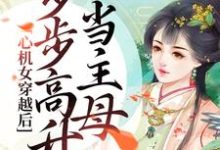 心机女穿越后,步步高升当主母主角苏晚沈阶小说完结版章节在线阅读-经典文学
